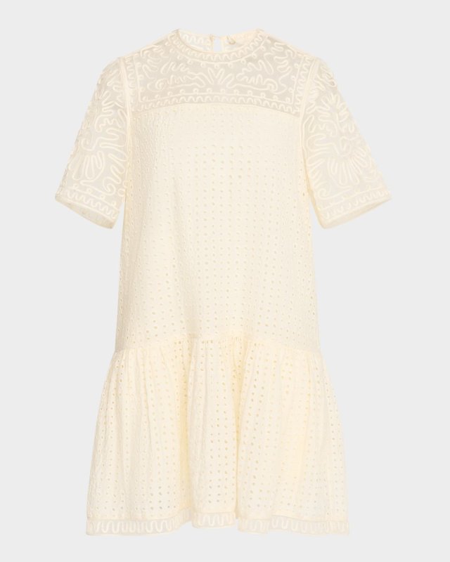 Gabi Embroidered Mini Dress